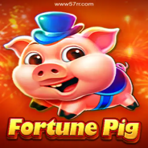 FortunePig: Dive into the World of Brazil's Best Online Casino